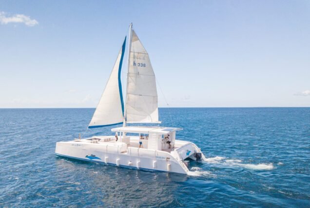 Punta Cana Premium Combo | Polaris Off-Road & Catamaran Cruise